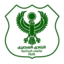 Футболен отбор Ал-Масри
